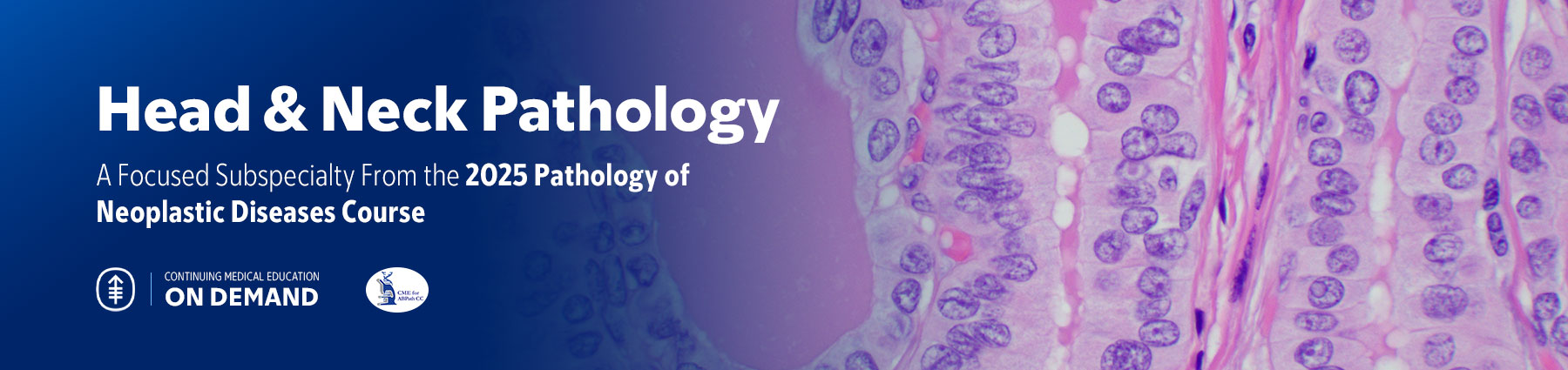 Head & Neck Pathology — The Pathology of Neoplastic Diseases 2025 On Demand Banner
