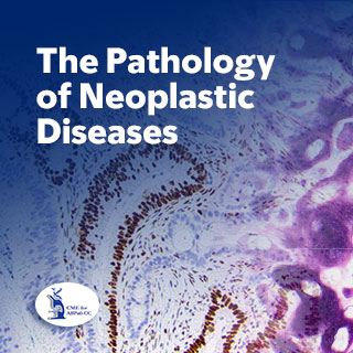 The Pathology of Neoplastic Diseases 2024 Banner