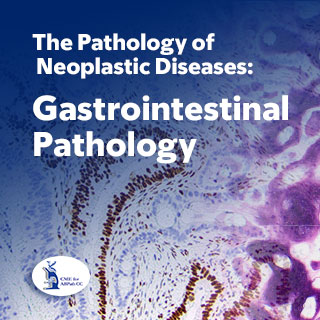 Gastrointestinal Pathology — The Pathology of Neoplastic Diseases 2024 On Demand Banner