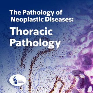 Thoracic Pathology — The Pathology of Neoplastic Diseases 2024 On Demand Banner