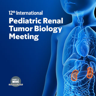 12th International Pediatric Renal Tumor Biology Meeting Banner